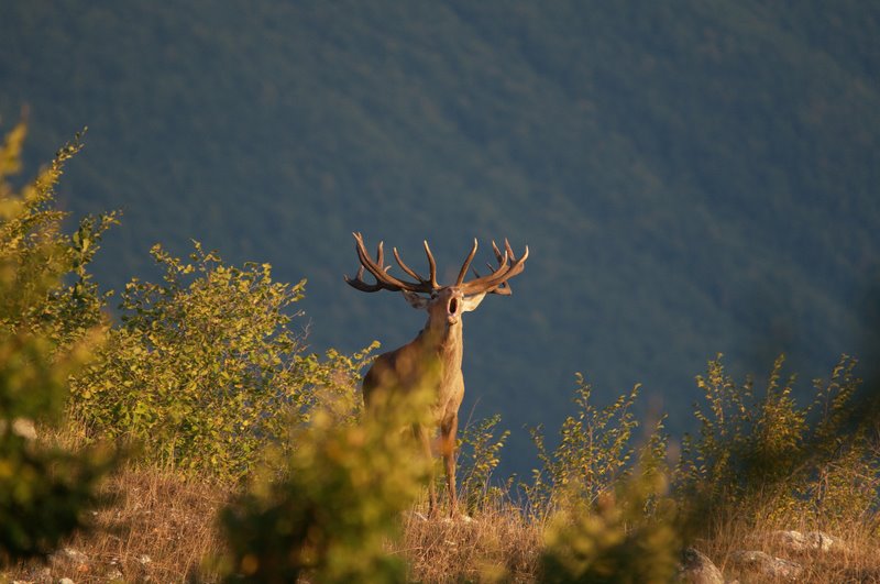 Equinozio d''autunno